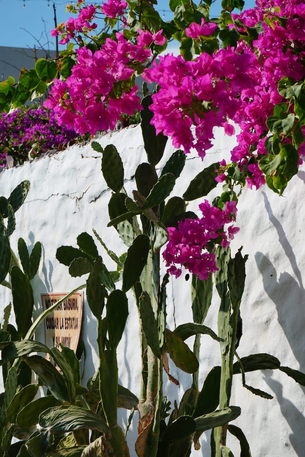 El Salvador retreat memory