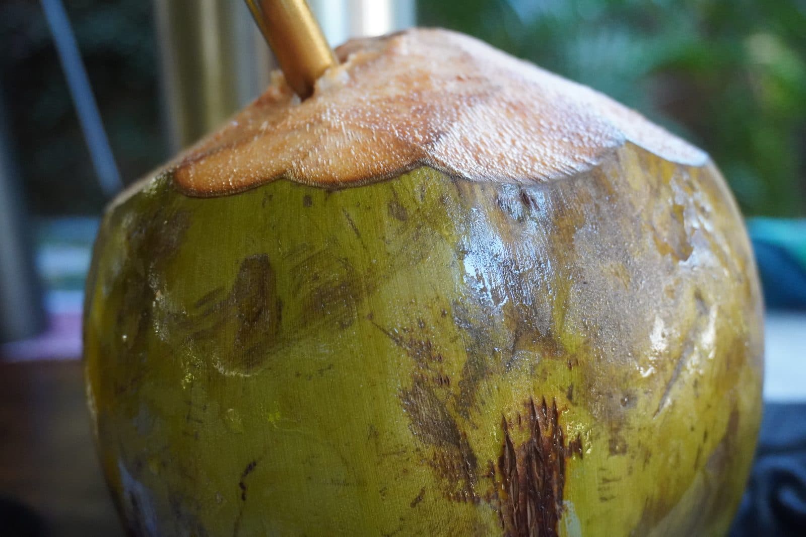 El Salvador retreat memory